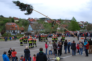 Maibaum 2015