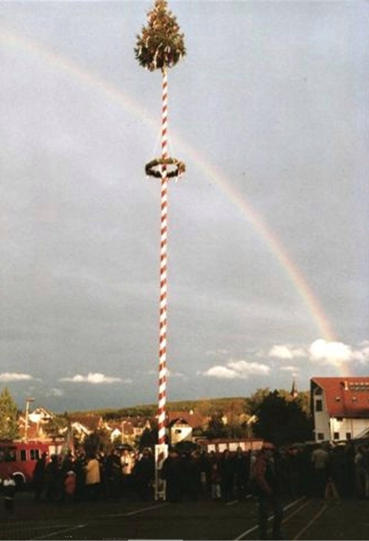 maibaum